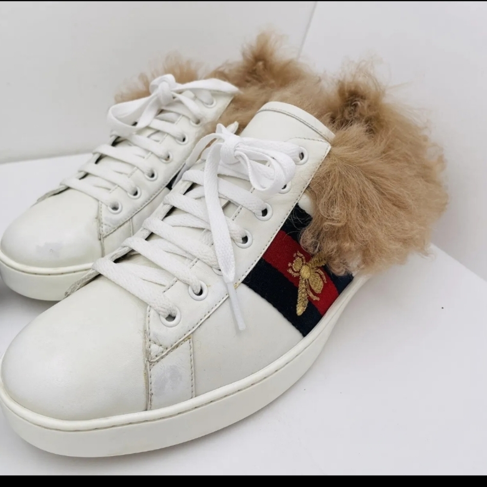 Authentic Gucci Sneakers Low Top White Red Blue Good Condition Fur Men's 10